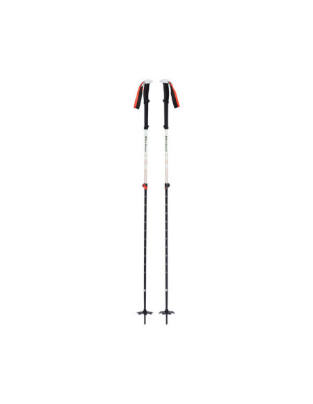 EXPEDITION 2 SKI POLES