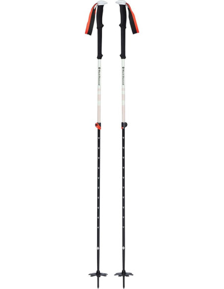 EXPEDITION 2 SKI POLES