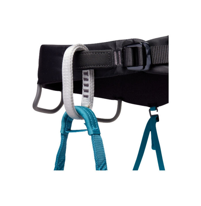 W MOMENTUM HARNESS