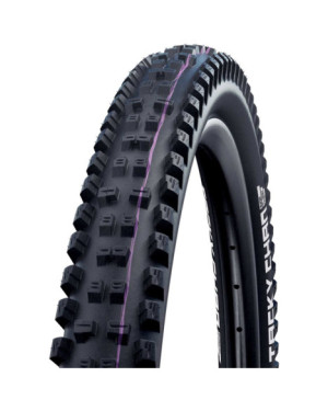 SCHWALBE TACKY CHAN EVO, SUPER GRAVITY ADDIX ULTRA SOFT