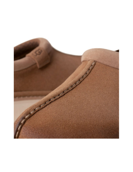 M TASMAN LUG M TASMAN LUG