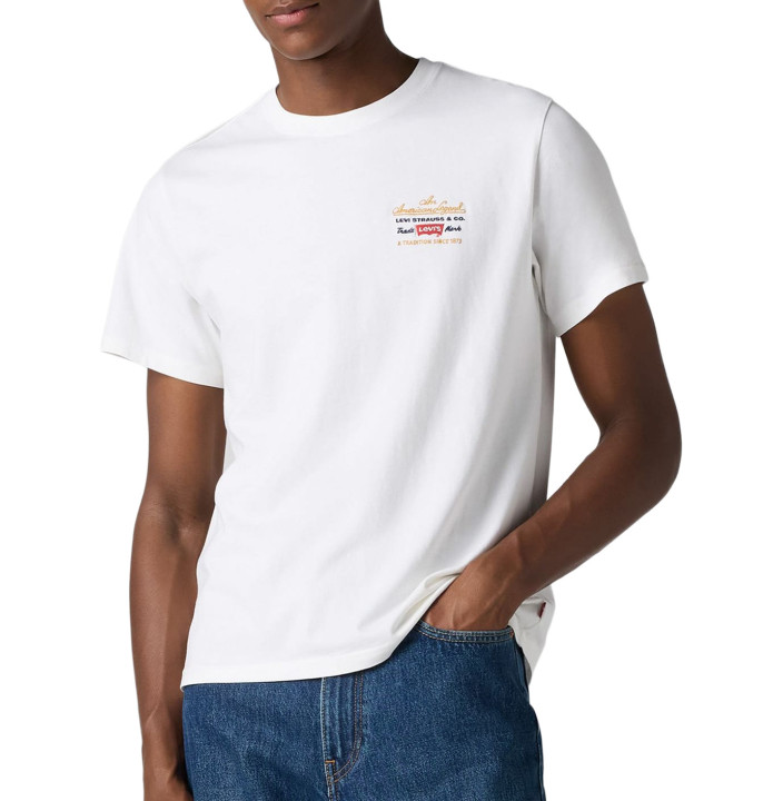 SS RELAXED FIT TEE TBD140