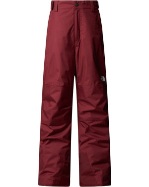 B FREEDOM INSULATED PANT