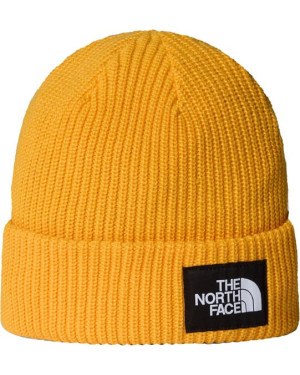 SALTY LINED BEANIE