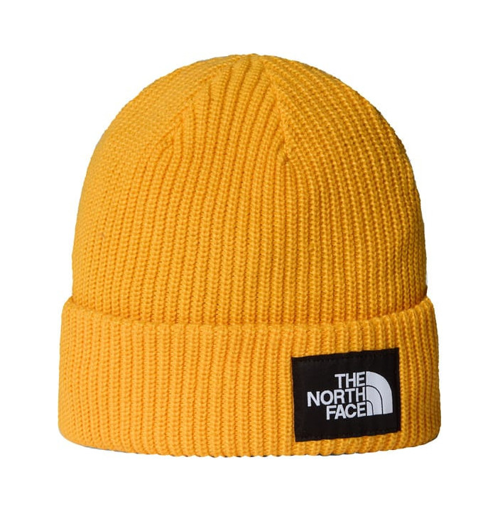 SALTY LINED BEANIE