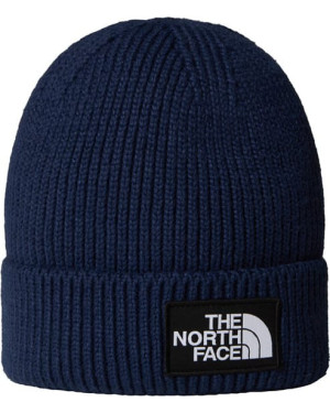 TNF LOGO BOX CUFFED BEANIE