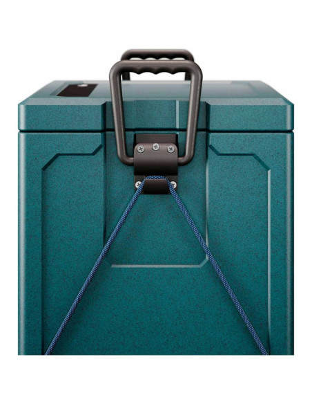 WCI 33 MOSS WCI 33 MOSS