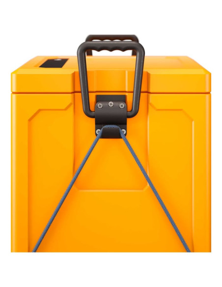 WCI 33 MOSS WCI 33 MOSS