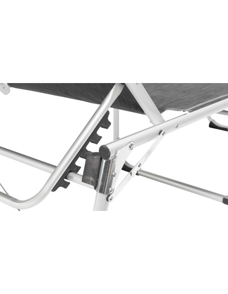 NEW FOUNDLAND XL NEW FOUNDLAND XL