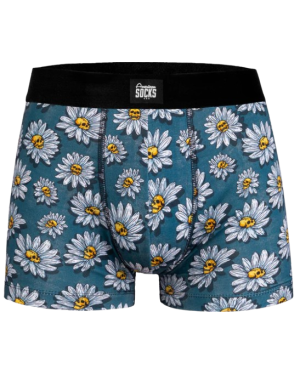 DAISIES