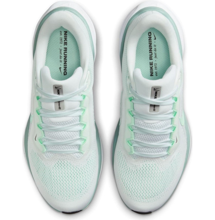 NIKE PEGASUS 41 WOMEN'S ROAD RUNNIN