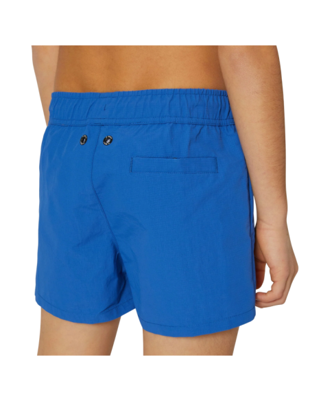 P. LE VRAI OLIVIER P. LE VRAI OLIVIER