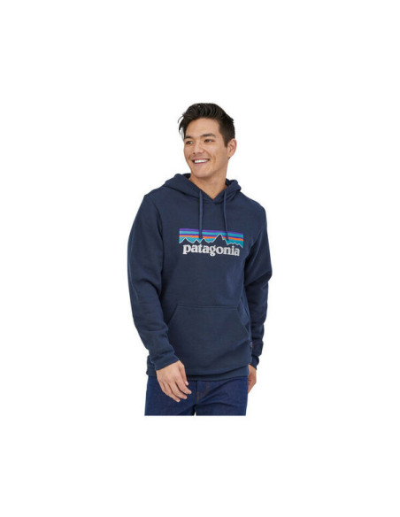 P-6 LOGO UPRISAL HOODY