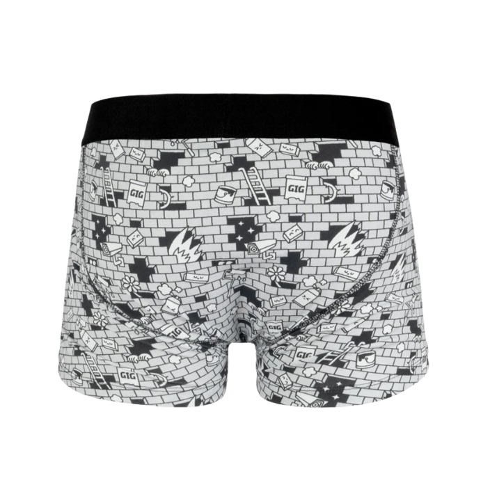 THE WALL - BOXER BRIEF