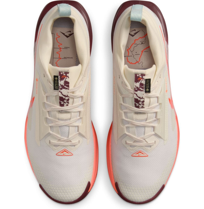 NIKE PEGASUS TRAIL 5 GORE-TEX