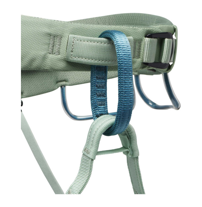 W MOMENTUM HARNESS