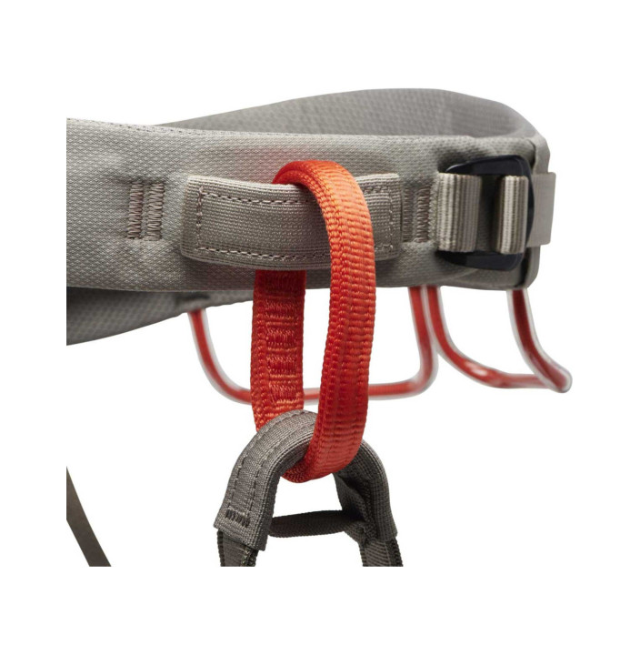 M MOMENTUM HARNESS