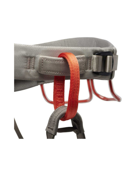 M MOMENTUM HARNESS