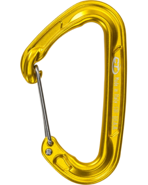 FLY WEIGHT EVO - GOLD COLOUR