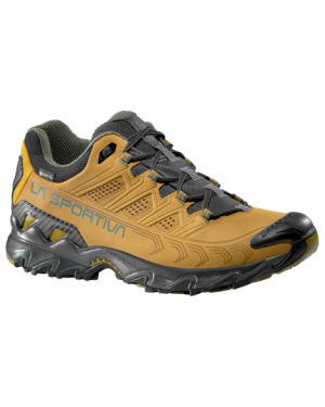 ULTRA RAPTOR II LEATHER GTX