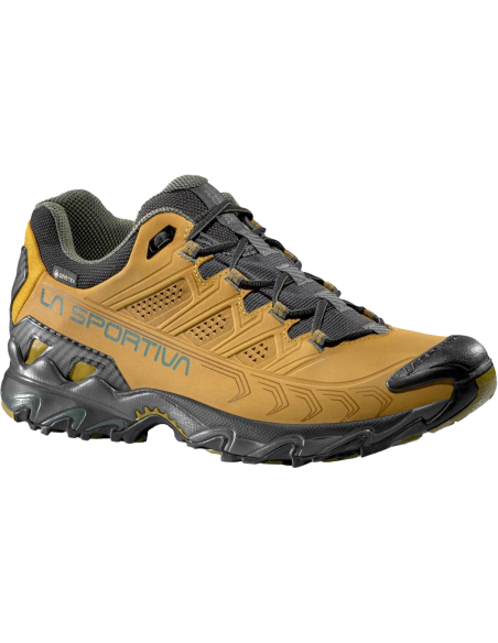 ULTRA RAPTOR II LEATHER GTX