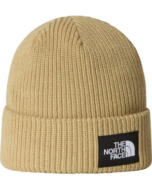 SALTY LINED BEANIE