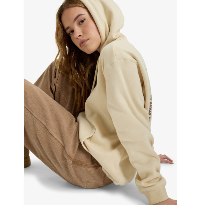 SURF STOKED HOODIE BRUSHED VT