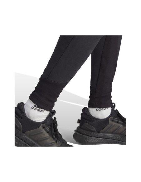 M Z.N.E. PR PT M Z.N.E. PR PT