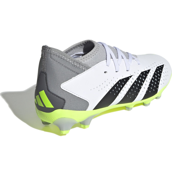 PREDATOR ACCURACY.3 MG J