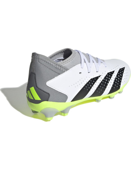 PREDATOR ACCURACY.3 MG J