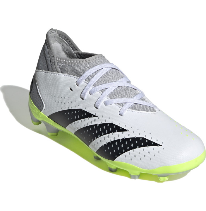 PREDATOR ACCURACY.3 MG J