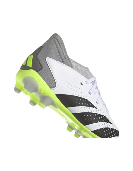 PREDATOR ACCURACY.3 MG J