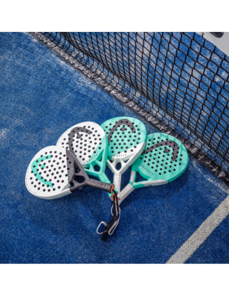 Gravity Motion 2024 Gravity Motion 2024