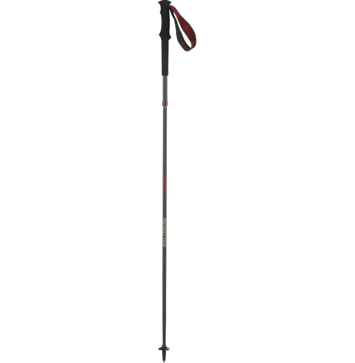 POLES QUEST CARBON FOLDABLE