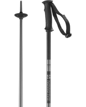 BASTON ARCTIC