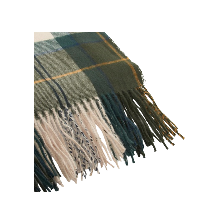 BARBOUR HAILESTARTAN SCARF