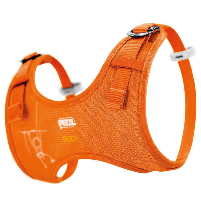 BRETELLES TORSE BODY