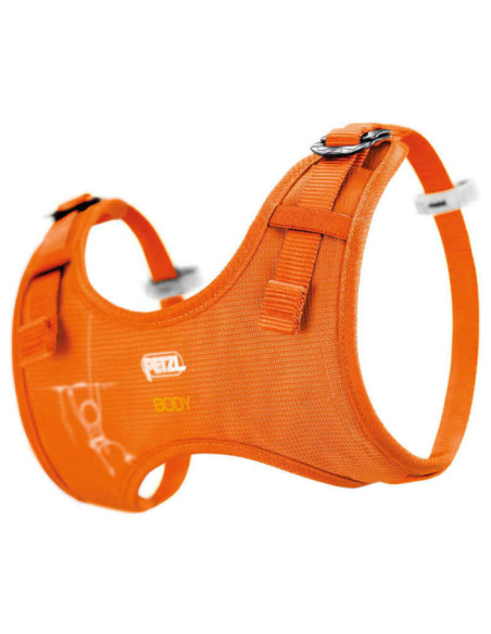 BRETELLES TORSE BODY