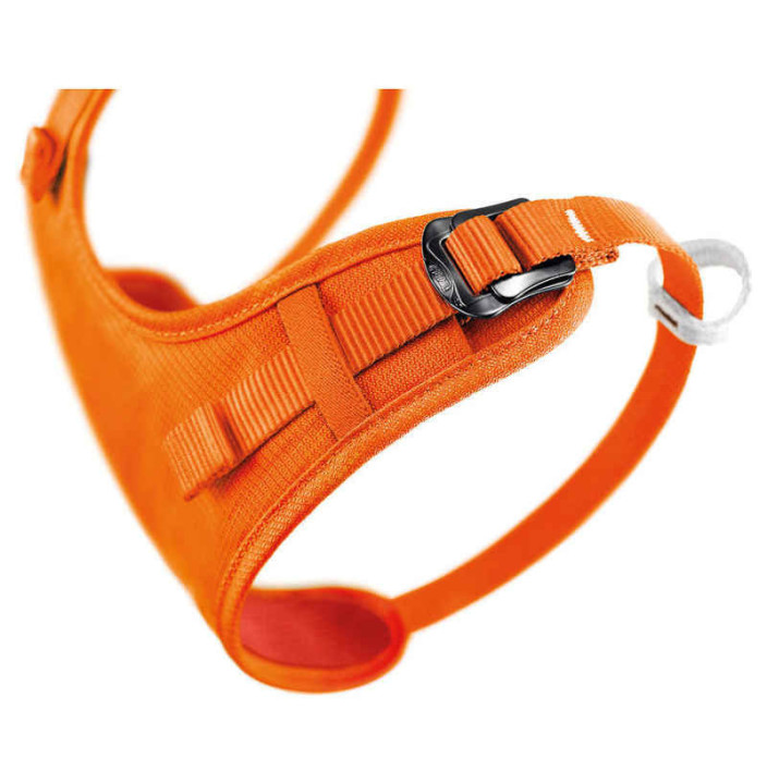 BRETELLES TORSE BODY