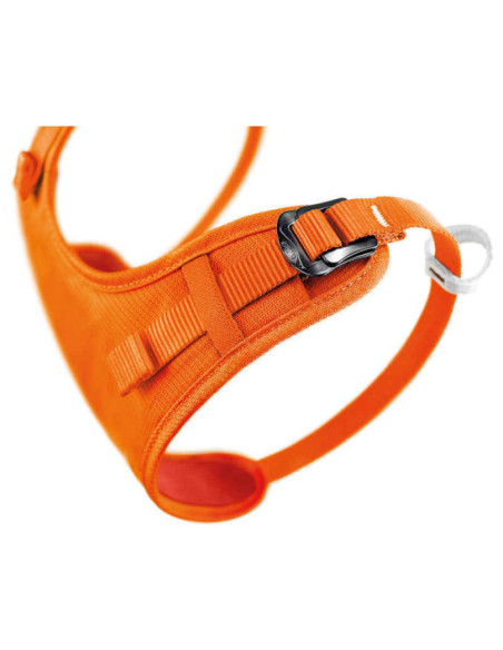 BRETELLES TORSE BODY