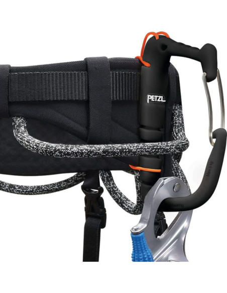 HARNAIS AQUILA HARNAIS AQUILA