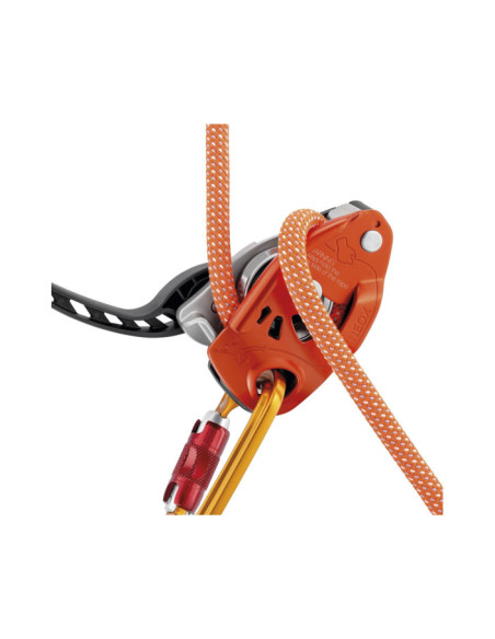 ASSUREUR NEOX ASSUREUR NEOX