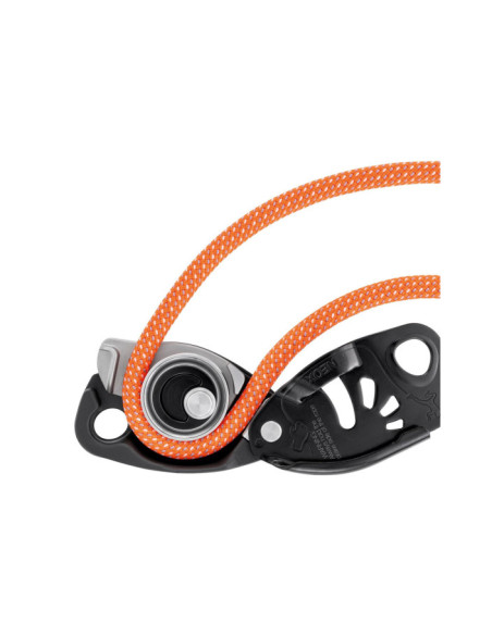 ASSUREUR NEOX ASSUREUR NEOX