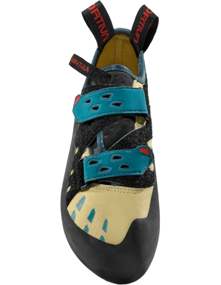 Tarantula Woman Tarantula Woman