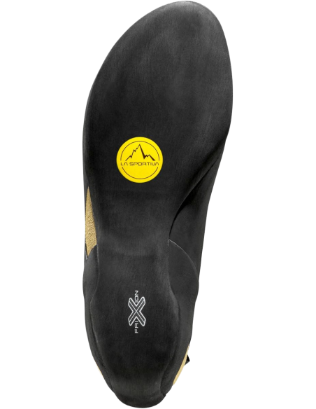 Tarantula Woman Tarantula Woman