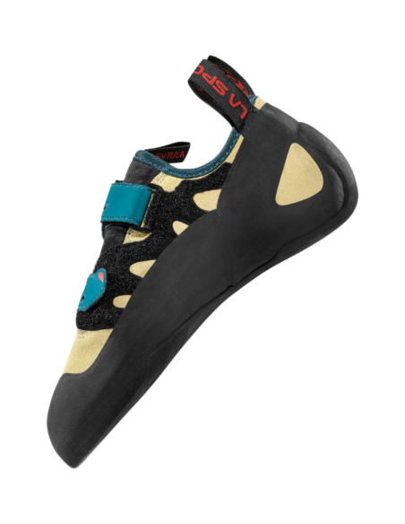 Tarantula Woman Tarantula Woman