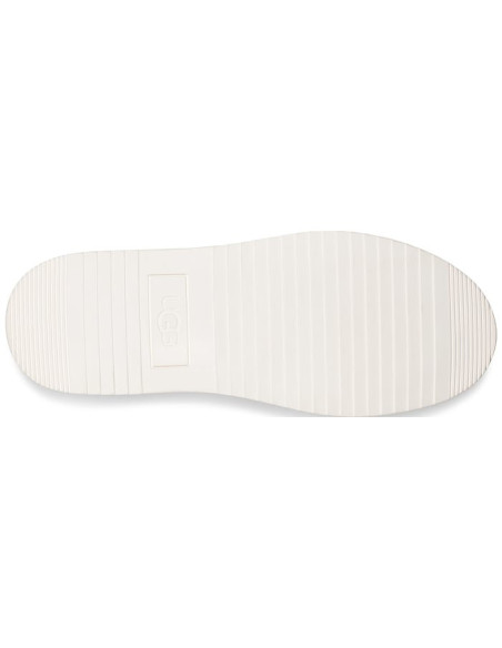 W ALAMEDA GRAPHIC KNIT