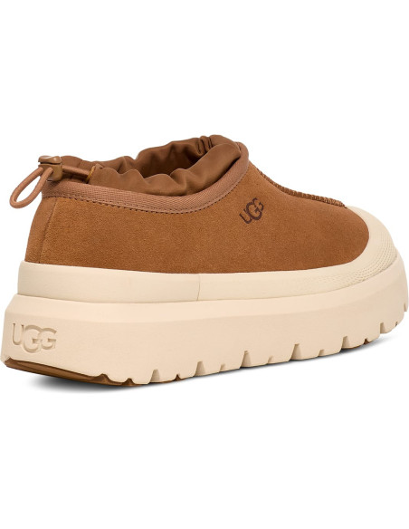 M TASMAN WEATHER HYBRID