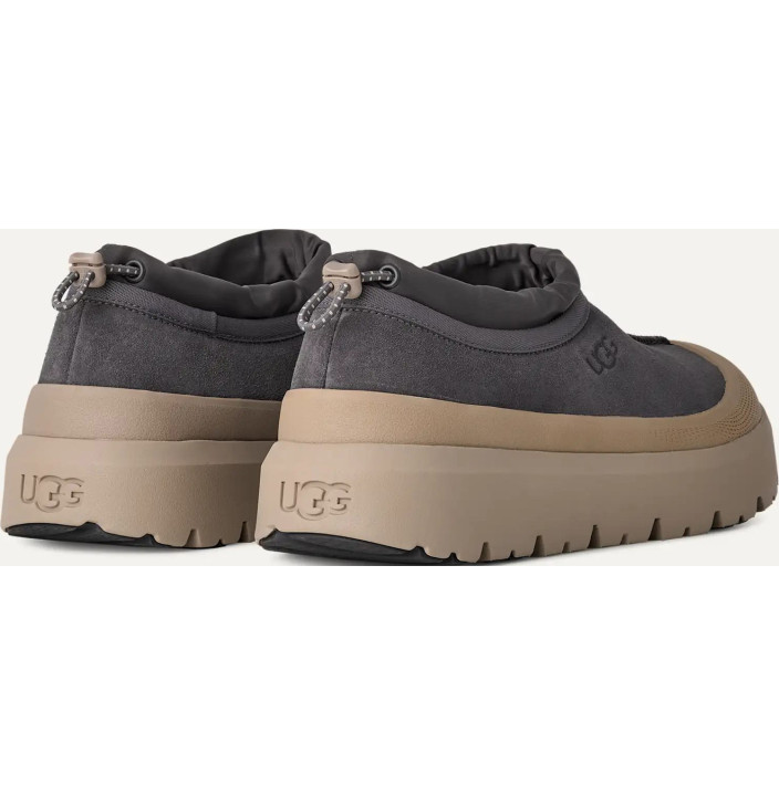 M TASMAN WEATHER HYBRID