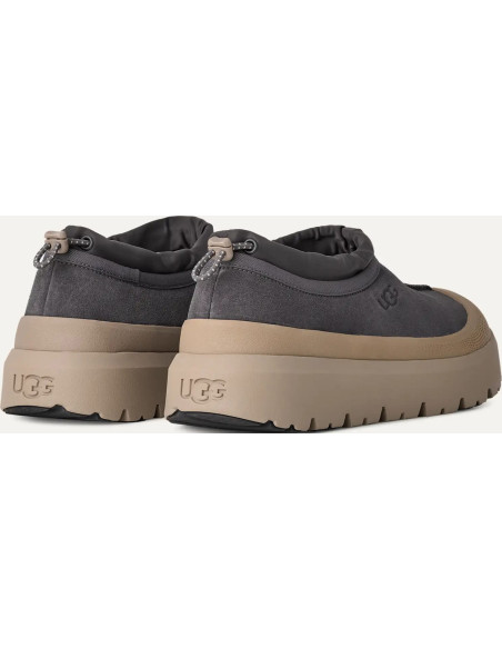 M TASMAN WEATHER HYBRID